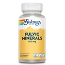 Solaray Fulvic Minerals 100 mg | Himalayan Shilajit | Digestione sana, Skin & Brain Support | 30 VegCaps