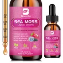 Gocce liquide di muschio di mare - Olio di semi nero organico Irish Sea Moss Gel con radice di Burdock, Bladderwrack, Elderberry, Vitamina C, D3, 6X più forte gel di seamoss per digestivo, salute dei capelli - Vegan