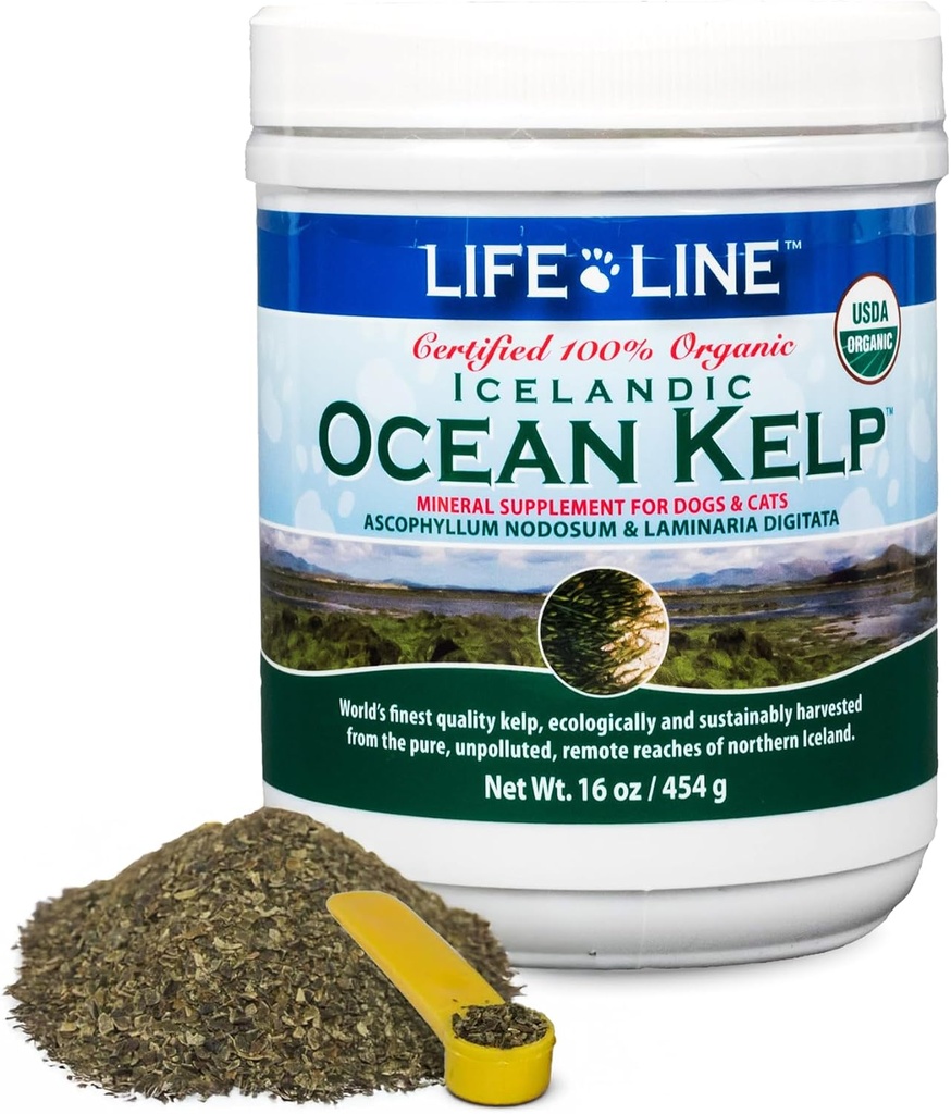 Linea di vita USDA Certificata Organic Ocean Kelp per animali domestici e bestiame | Supporta la salute della pelle e dei cappotti, la funzione immunitaria e l'igiene dentale | Promuove il metabolismo & riduce la placca e le fessure – 16 oz
