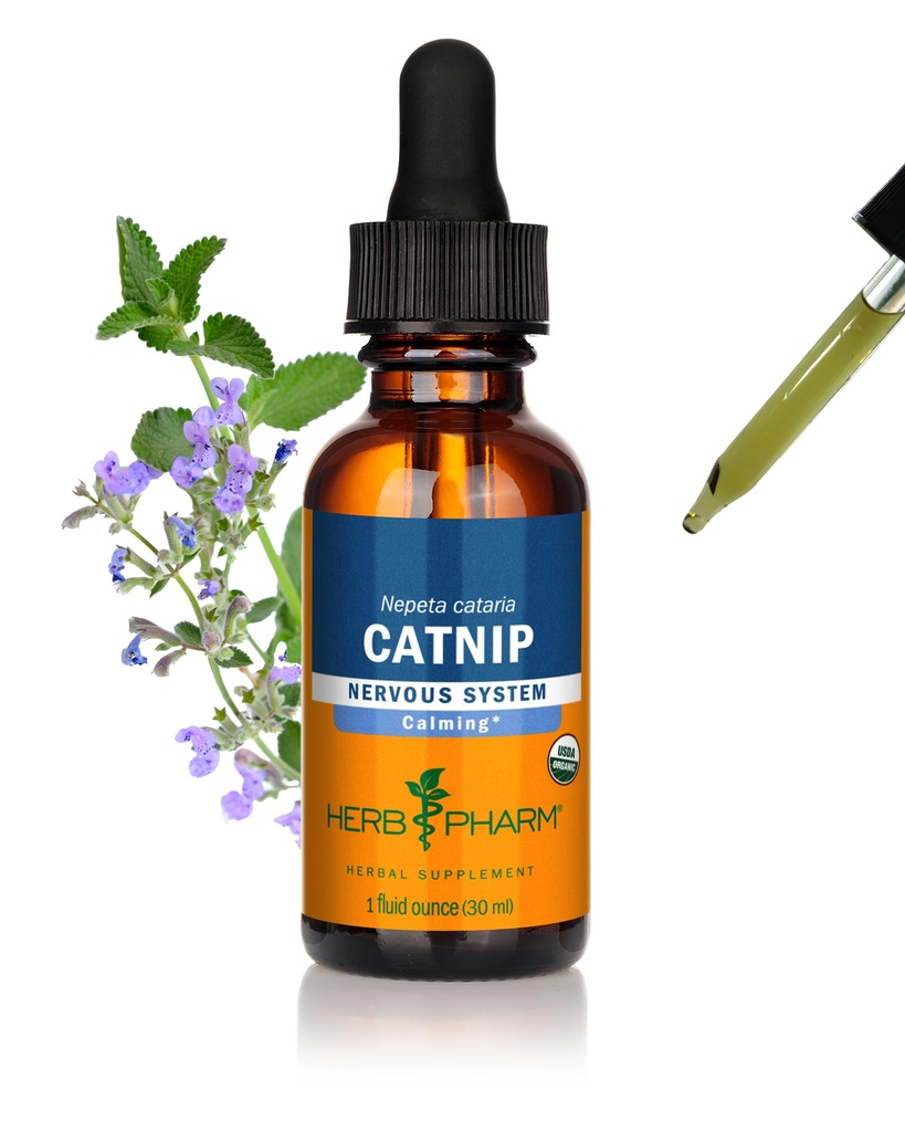 Estratto di liquido di Catnip biologico certificato di Herb Pharm per il supporto di sistema nervoso calmo, 1 Fl Oz