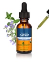 Estratto di liquido di Catnip biologico certificato di Herb Pharm per il supporto di sistema nervoso calmo, 1 Fl Oz
