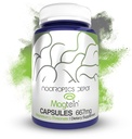 Nootropics Depot Magtein Magnesium L-Threonate Capsules | 90 Count | Mineral Supplement | Natural | Supports Funzione mitocondriale | Aumenta l'energia e la funzione cognitiva