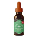 Erbe Etc. ChlorOxygen clorophyll Concentrate - Sostegno ad alta concentrazione di energia - Aids Circolazione sana del sangue - Supporto naturale di vitalità - Alcol-Free - 1 fl oz, Mint (circa 66 Serve)