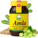 BASIC AYURVEDA Amla Polvere 7.05 Oz (200gm) | 100% Raw & Natural Indian Gooseberry (Amalaki) per capelli, pelle e immunità | No Additivi | Ideale per Smoothies, maschere fai da te, uso erboso & benessere