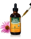 Estratto di liquido Super Echinacea organico certificato di Herb Pharm per il supporto attivo del sistema immunitario - 4 Oz