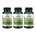 Swanson Lion's Mane Mushroom - Tradizionale Booster del cervello Supplemento fatto da Hericium Erinaceus (60 capsule, 500mg ogni) 3 confezione