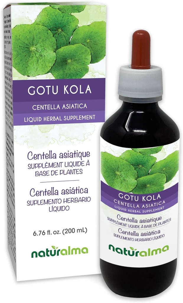 Naturalma Gotu kola (Centella asiatica) erba Alcohol-Free Tincture - 6.76 fl oz Liquid Extract in Drops - Herbal Supplement - Vegan