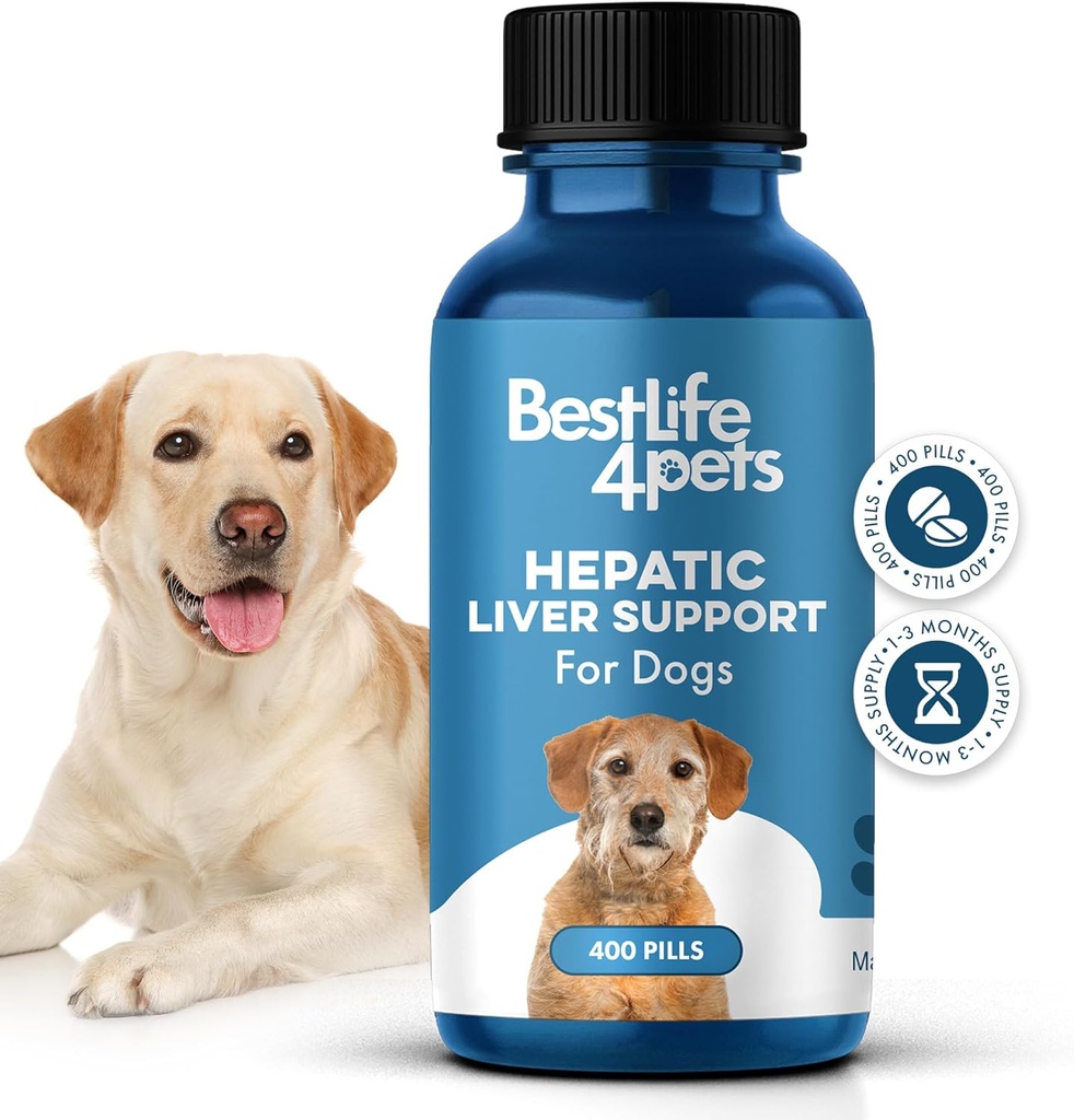 Supporto epatico del fegato per cani, supplemento omeopatico digestivo dissolvibile per il disassorbimento del fegato e del nutriente, 100% tutto naturale, facile da dare, privo di sostanze chimiche o additivi, 400 pillole