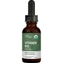 Organico Vegan Vitamina B12 Sublingual Liquid Supplement - 2500mcg Methylcobalamin Drops for Natural Energy, Metabolism Health and Immune System Support - 1 Fl Oz