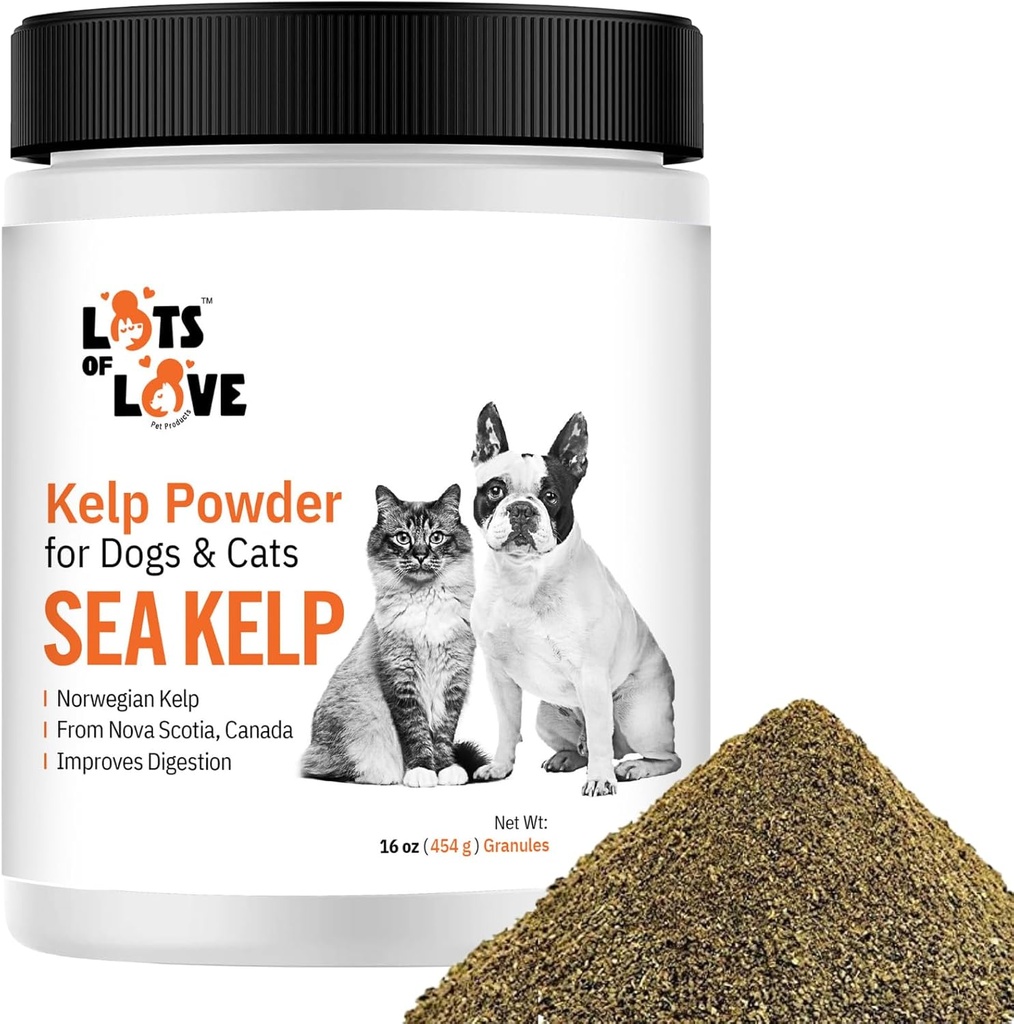 Polvere di Kelp per il cane e il gatto - polvere di granule supplemento di Kelp del mare organico (16 Oz, 1 Pound)