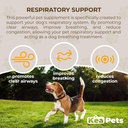 Doggie Condiments Pet Respiratory Support Un integratore di Cane Naturale per la Respirazione ottimale del cane, Sinusi trasparenti, tosse, starnuti e sollievo per cani