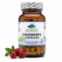Pure Mountain Botanicals Pillole di mirtillo Kosher Vegan Capsule con 400 mg di estratto di mirtillo concentrato supplemento