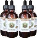 Estratto di liquido senza alcool di cannella, cannella (Cinnamomum Verum) a base di corteccia Glycerite Hawaii Pharm Natural Herbal Supplement 4x4 oz