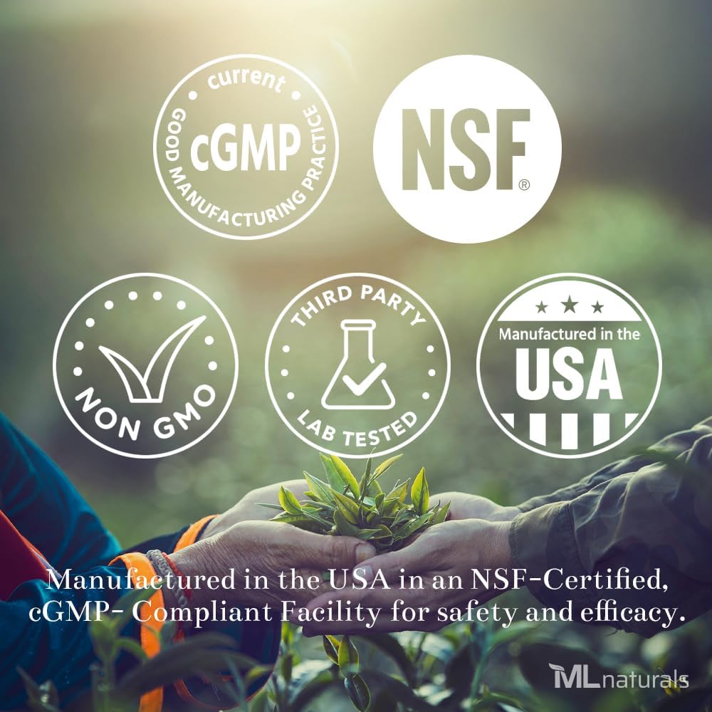 ML Naturals Phosphatidyl Serine 200 mg (Standard) 240 capsule vegetali. Supporta la funzione di memoria e cervello, non OGM, NSF-Certified & cGMP-Compliant