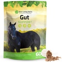 Silver Lining Herbs Gut Support Horse Supplements - Gut Health & Digestive Supplemento per cavalli - Potente Digestione Support Herbal Blend of Licorice, Slippery Elm & More - 1 lb 60-Day Supply