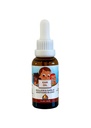 Punkin Butt Baby Ear Oil | Aglio biologico, Mullein, Calendula Ear gocce sicuro per i bambini (1 oz)