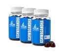 Ashwagandha Gummies Mixed Berry KSM-66, Mane del leone, Vitamin-D, Non OGM, Gluten-Free, Gelatin Free & Kosher (180 Count (Pack of 3))