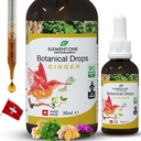 Gocce Botaniche Naturali – Enzimi Ginger e Digestivi in una Formula Organica per il Benessere Comprehensive, Supporto Sistema Immune, Promuovere il Rilievo di Inflammazione e Migliorare la Circolazione del Sangue (50ml)