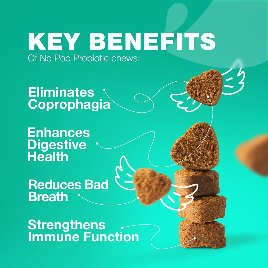 No Poo Chewables for Dogs - Enzimi, Probiotici per la salute digestiva - Canine Digestive, Gut & Immune Health Supplement