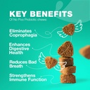 No Poo Chewables for Dogs - Enzimi, Probiotici per la salute digestiva - Canine Digestive, Gut & Immune Health Supplement