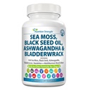 Moss mare per cani 750mg olio di semi nero 500mg Ashwagandha 250mg Turmeric 250mg Bladderwrack 250mg Dandelion 250mg & vitamina C Vitamina D3 con Elderberry Manuka Yellow Dock 90 compresse