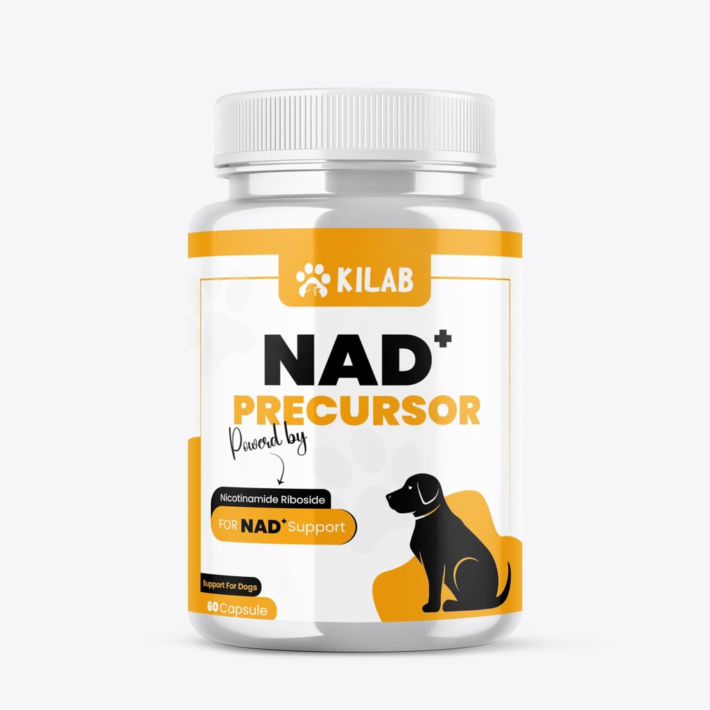 Kilab NAD+ Precursor Supplemento per cani - Supporta l'invecchiamento sano e il supporto muscolare scheletrico & Recupero - Cervello, cuore, & supporto energetico cellulare - Nicotinamide Riboside Chloride - 60 capsule