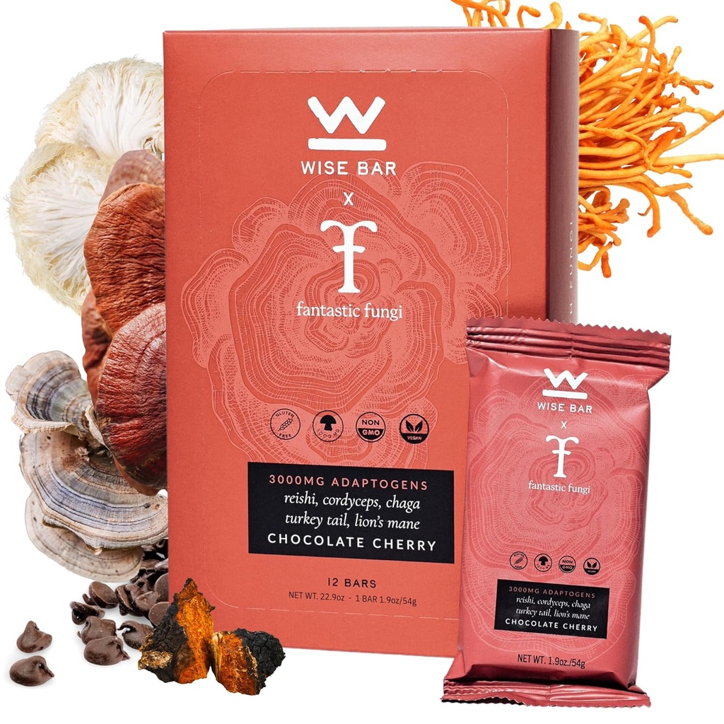 Wise Bar Adaptogen Mushroom Nutrition Bars with Reishi, Lions Mane & Ashwagandha, Organic Vegan & Gluten Snacks gratuiti per Focus naturale, Energy & Immunity Support, Chocolate Cherry Flavor, 12 Count