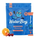 Waterboy Weekend Recovery | 3,200mg Electrolyte Powder Packets | Ginger + L-Theanine + Vitamine | No Sugar, All Natural, Gluten Free | 24 Bevande Stick Mixs (Fruit Punch)