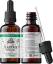 Tintura di Plantain, Estratto organico di Plantain (Plantago Maggiore) Integratore di salute della foglia secca, Non OGM in Glicerina vegetale organica prematura a freddo 2 oz, 670 mg