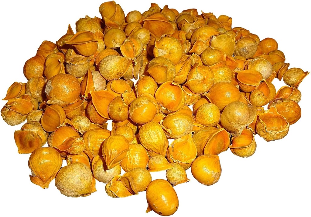 Aglio giapponese/AJO Japones (100% Naturale!!) pesi diversi: (1 Lb, 5 Lbs e 10 Lbs) (5 Lbs)