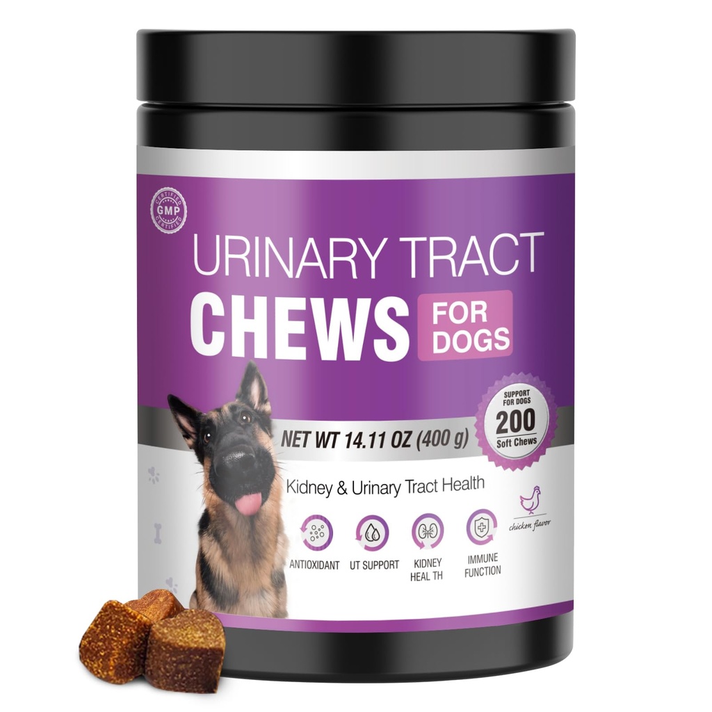 Trattamento del cane UTI Supplemento di mirtillo per cani 200 chews Tratta urinaria farmacia Pillole di controllo del rene Supporta i mirtilli estraggono i biscotti UTI infezione Treats Incontinence Remedy per cani