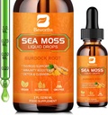 Gocce liquide del Moss del mare - Gel crudo di Moss del Mar irlandese organico con radice di Burdock, Tumeric, Spirulina, Gel di alghe marine per Gut Health & Antioxidant Supports - 2 Fl Oz