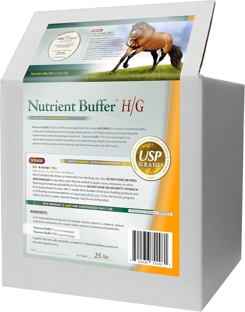 HG - Equine Hind Gut Formula di supporto gastrico inferiore per cavalli