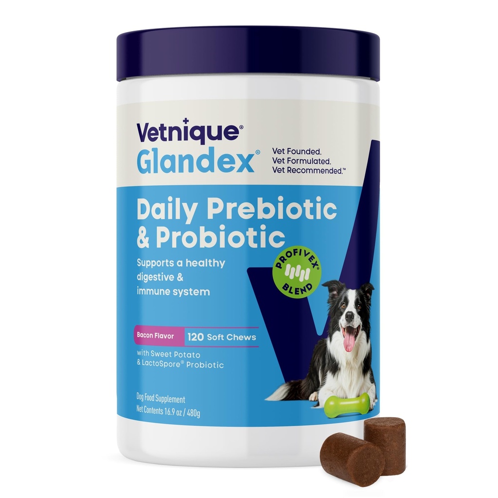 Vetnique Glandex Probiotici giornalieri per cani con prebiotici per sostenere la salute del fegato con enzimi fibre e digestivi, chews probiotici o polveri (120ct Chews, Bacon Chews)