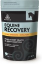 Acido ialuronico dell'equino PURICA - Integratore di sostegno congiunto del cavallo con Glucosamina, Polvere di MSM, Betaina, Magnesio, Vitamina C ed E - Estratto di semi di tè verde e di semi di uva - Forniture e Trattamenti di cavalli