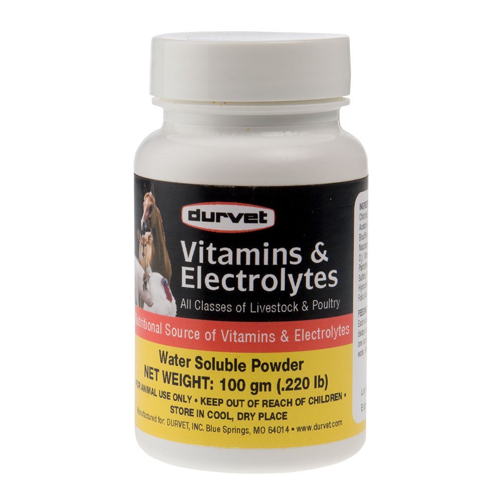 Durvet 698468 Vitamine & Elettroliti per bestiame & pollame 100G