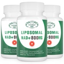 NAD+ Supplemento Liposomal NAD+ Plus 800MG Nicotinamide Riboside alternativa per l'energia cellulare, l'invecchiamento sano e la riparazione del muscolo 180 capsule (Pack of 3)