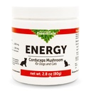 Integratore di funghi per cani e gatti - Support Stamina & Endurance, Funzioni respiratorie e renali sani, Antiossidante, Estratto di polvere di funghi - 2.8 Oz (Pack of 1)