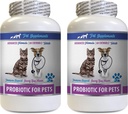cat Bad Trattamenti Respiranti - PROBIOTICS per Animali - Cani Gatti - Bad Gas and Breath Treats - Advanced Immune Boost - Migliori probiotici per Gatti - 2 Bottiglie (120 Trattati)