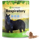 Silver Lining Herbs Respiratory Support Supplemento per Cavalli - Integratori di cavalli per la pulizia polmonare e la salute respiratoria - Grande per la funzione polmonare, Respirare e Clear Airways - 1 lb 60-Day Supply