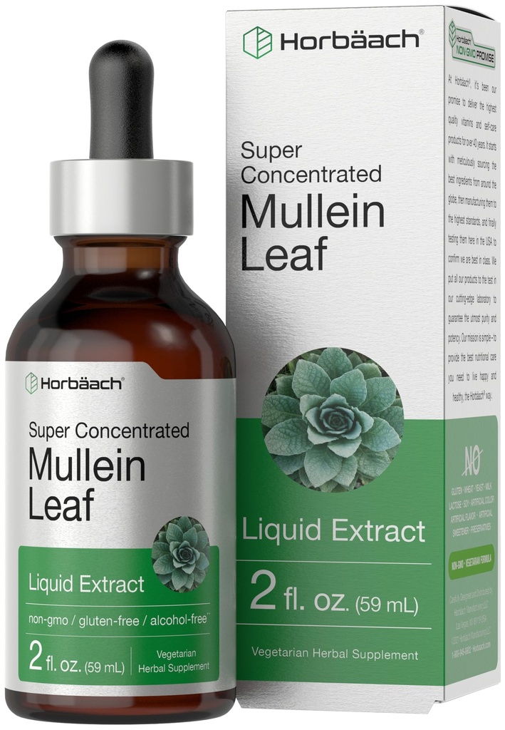 Horbäach Mullein Leaf Extract Drops | 2 fl oz | Alcohol Free Liquid Tincture | Vegetariano, Non OGM & Gluten Free Herbal Supplement