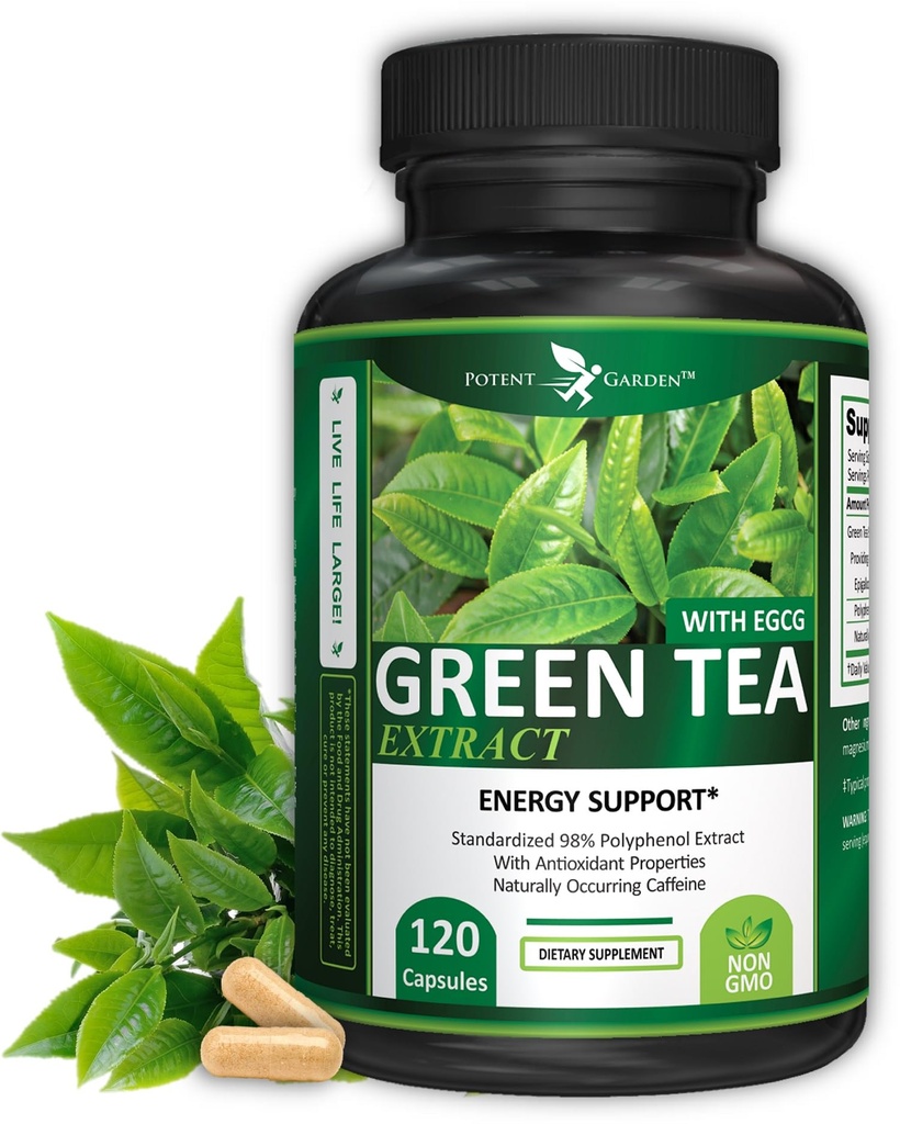 Potente giardino Estratto di tè verde con energia naturale EGCG, messa a fuoco mentale, supporto immunitario, antiossidante e sana formula cardiaca, non OGM 120 Estratto di tè verde