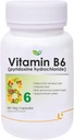 Generico Ken Vitamin B6 (Pyridoxine Hydrochloride) Supplemento | 60 capsule di veg