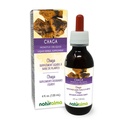 Naturalma Chaga (Inonotus obliquus) Fungo o crema di funghi Alcohol-Free Tincture - 4 fl oz Liquid Extract in Drops - Integratore di erbe - Vegan