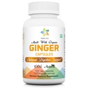 Capsule Aura Ginger Organici - 120 capsule di Veg. 2 mesi di fornitura. Naturalmente aumenta la digestione, il sollievo Stomach Upset e migliora l'immunità. Niente OGM e Gluten Free.