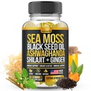 Sea Moss, Black Seed Oil, Ashwagandha, Ginger, Shilajit Gummies con Elderberry, Chlorophyll, Turmeric Bladderwrack Sea Moss Gummies Advanced Strength Formula - Tutto in 1 Bundle - USA Made (60 Gummies)