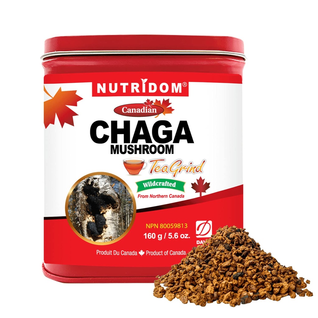 Nutrido canadese Chaga Mushroom Tea Grind, Pebbles, Wild-Harvested, Hand-Picked, 160 g