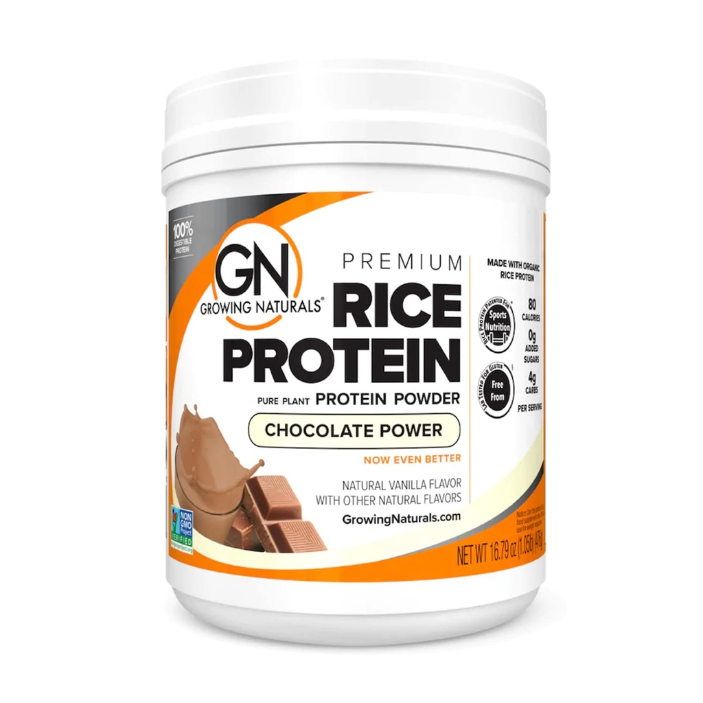 Polvere di proteina di riso Premium Organica, Potere di cioccolato, Non OGM, Vegan, 16.8 Ounce