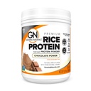 Polvere di proteina di riso Premium Organica, Potere di cioccolato, Non OGM, Vegan, 16.8 Ounce