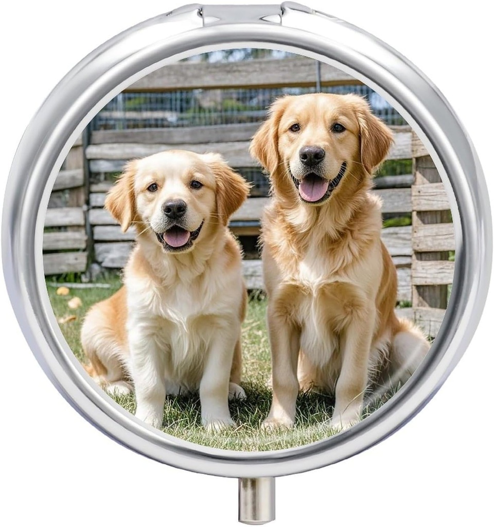 Tondo Pill Case 3 scomparti Golden Retriever Dogs Puppies Animali Pill Box Mini Medicina Pill Organizer Portatile Travel Pillbox per Pocket Purse Metal Pill Container per Vitamine Fish Oil Supplements